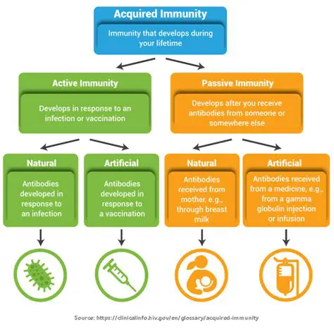 How Infants Acquire Immunity