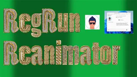 How RegRun Reanimator Works