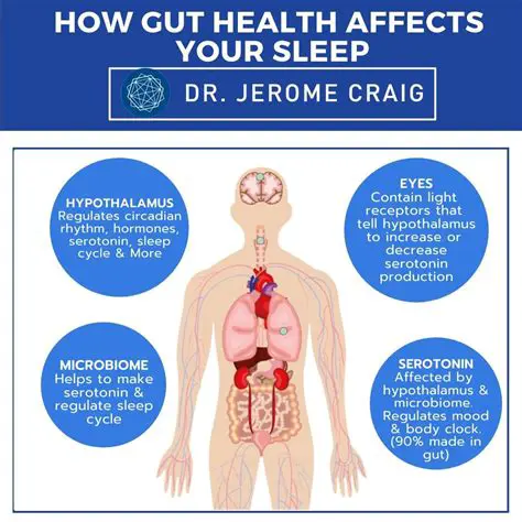 How Sleep Affects Our Bodies