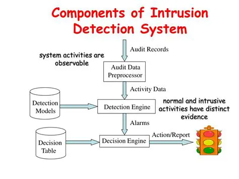 How the Detection System Works