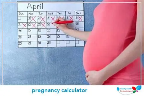 How the Pregnancy Calculator Works