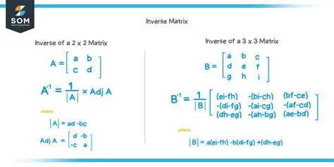 How to Identify an Inverse Coefficient Matrix
