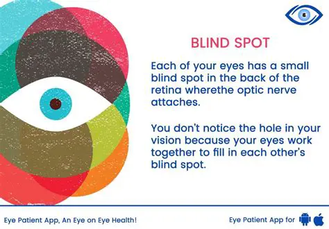 How to Test for the Blind Spot