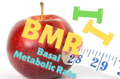 How to Use BMR to Lose Weight