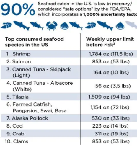 Human Activities and Mercury Levels in Seafood