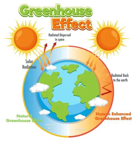 Human Activities and the Greenhouse Effect
