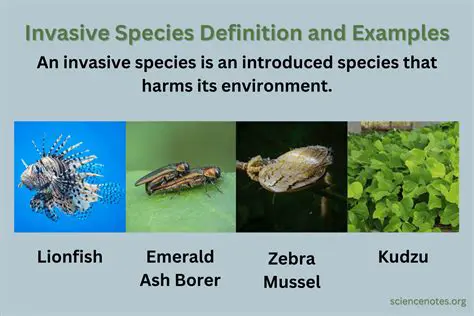 Human Activities that Contribute to the Introduction of Invasive Species