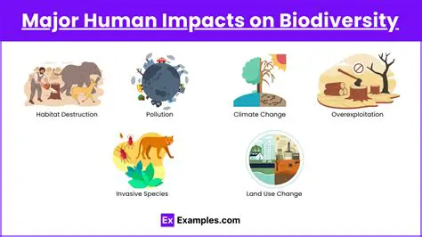 Human Impact on Ecological Niche and Species Richness