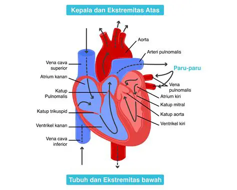 Iberita Terkini Jerman: Sorotan Utama Perkembangan Terbaru di Jantung Eropa