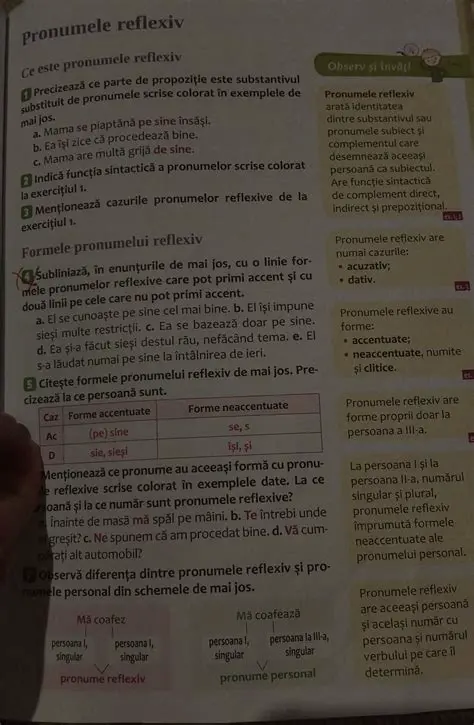 Identificarea substantivului