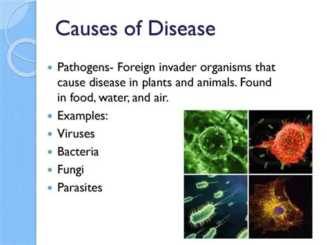 Identify the causes of diseases