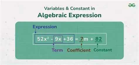 Identifying Coefficients and Constants in Algebraic Expressions