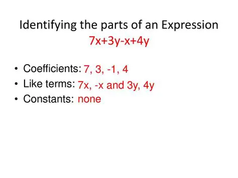 Identifying Constants in an Expression