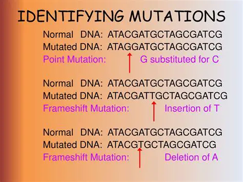 Identifying Point Mutations
