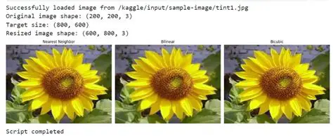 Image Processing Algorithms