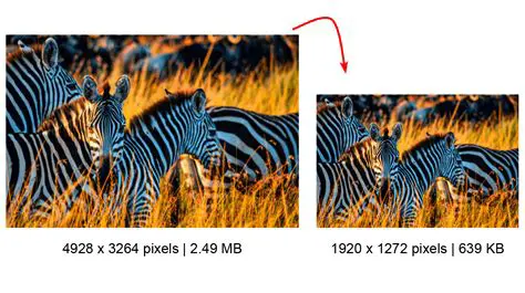 Image Resizing Capabilities