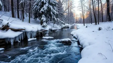 Immerse Yourself in a Frozen Winter Creek