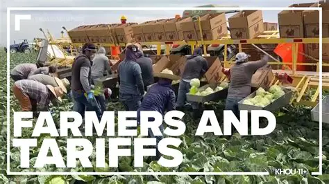 Impact on Farmers and Sellers