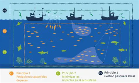 Impacto en la pesca sostenible
