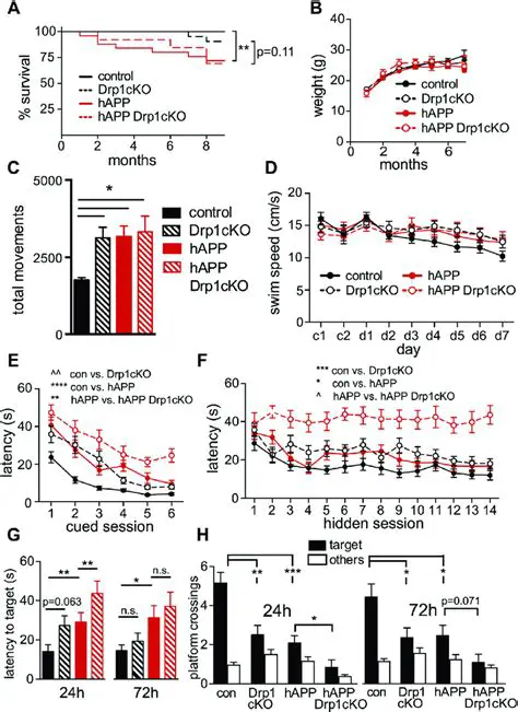Impair learning and memory