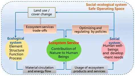 Implementation in ecological study and conservation