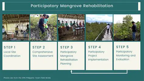 Implications for mangrove rehabilitation