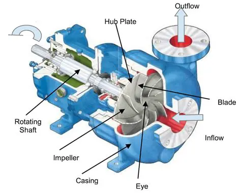Implications for Pump Design and Operation