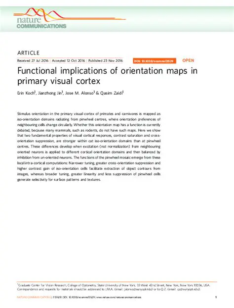 Implications of Orientation