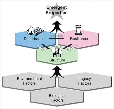 Implications of Time as an Emergent Property
