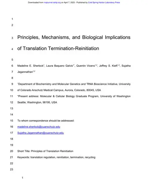 Implications of Translation