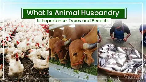 Importance of Animal Husbandry