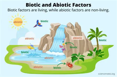 Importance of Biotic and Abiotic Factors