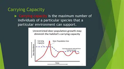 Importance of Carrying Capacity Calculation
