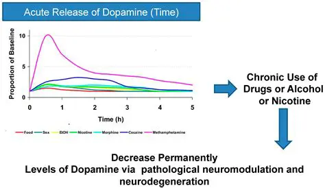 Importance of Examining Active Substance Levels in Drug Preparations