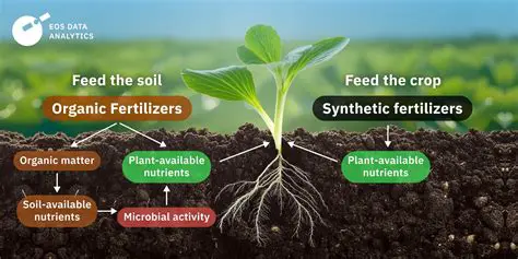 Importance of Fertilizer Composition