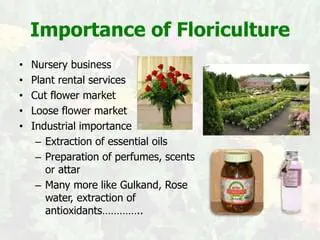 Importance of Floriculture