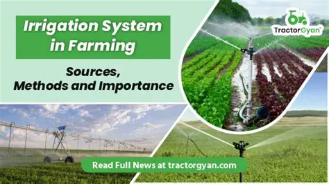 Importance of Irrigation in Agricultural Production