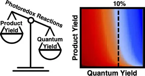 Importance of Quantum Yield