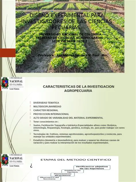 Importancia de las Unidades Experimentales