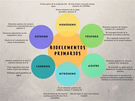 Importancia de los Bioelementos Primarios
