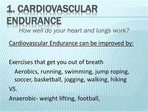 Improved cardiovascular endurance