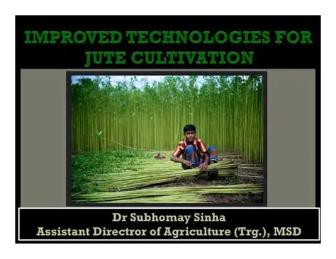 Improved cultivation management