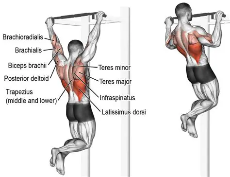 Improved upper body strength