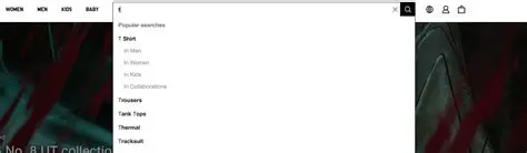 Inadequate search functionality