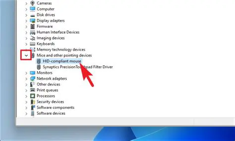 Incompatible mouse drivers