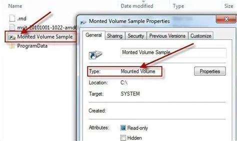 Incorrect Prometheus Volume Path