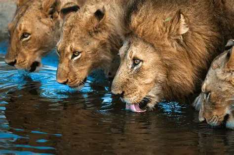 Increase awareness of the importance of maintaining river water quality