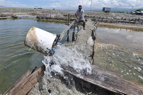 Increase domestic salt production