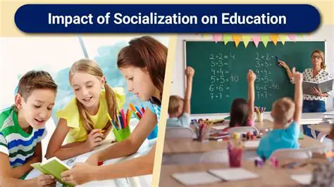 Increase socialization and education