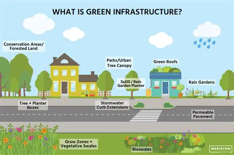 Increase the allocation of resources for green infrastructure development